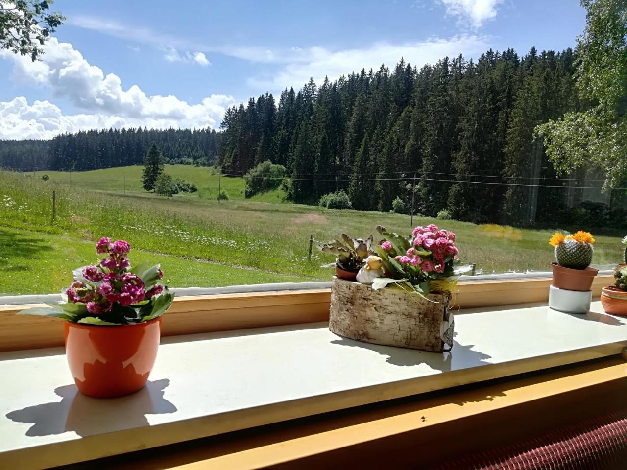 Hotel Kaltenbach Schönwalde Esterno foto